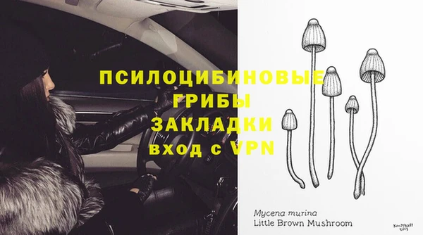 jwh Аркадак