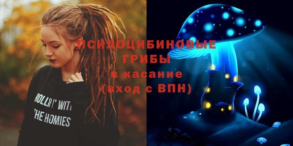 крисы Алзамай