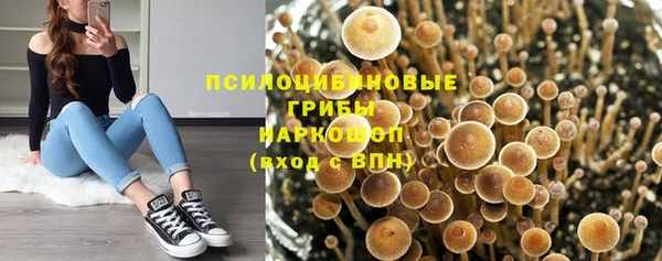 МДПВ Арсеньев