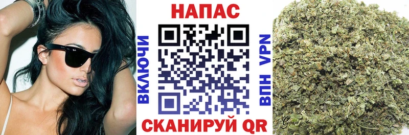 закладки omg зеркало Шишки марихуана гибрид Нерехта